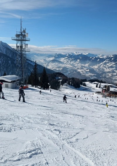 ski